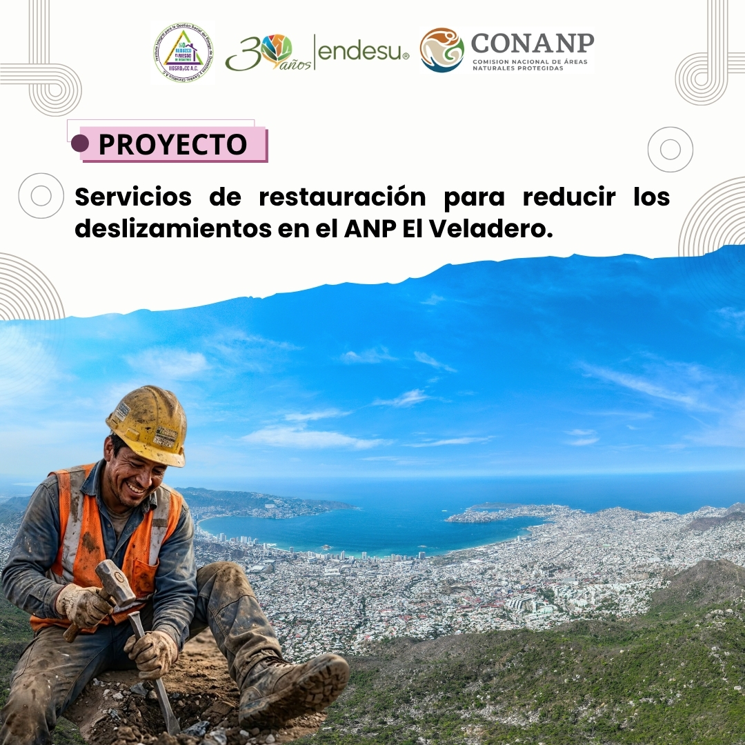 Acciones de restauración de suelo en zonas afectadas por deslizamientos